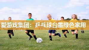 爱游戏集团：乒乓球台墨绿色家用