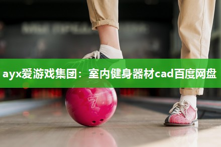 ayx爱游戏集团：室内健身器材cad百度网盘