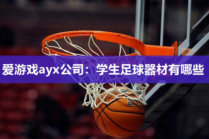 爱游戏ayx公司：学生足球器材有哪些
