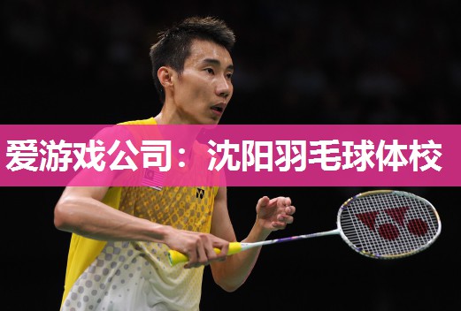 爱游戏公司：沈阳羽毛球体校