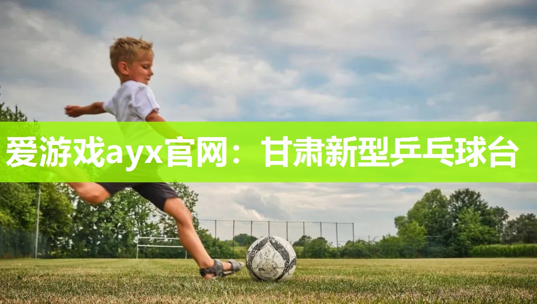 甘肃新型乒乓球台