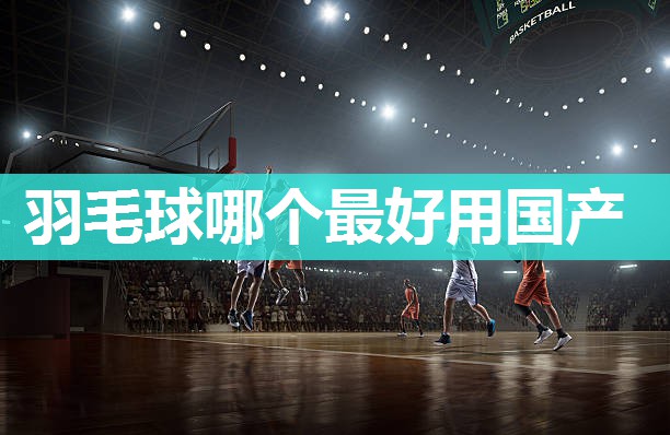羽毛球哪个最好用国产